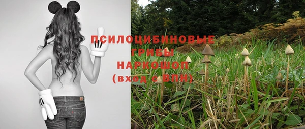 гидра Балахна