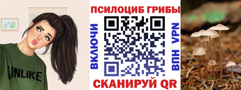 darknet формула  Соль-Илецк  Псилоцибиновые грибы прущие грибы 