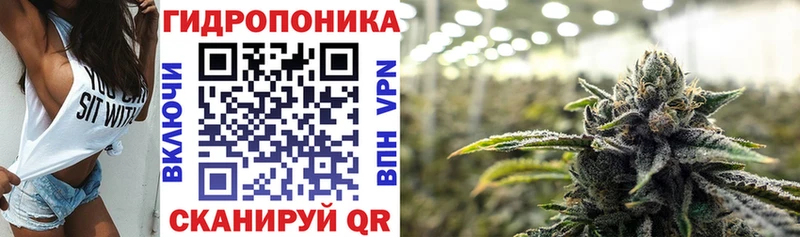 магазин продажи наркотиков  Соль-Илецк  Каннабис план 